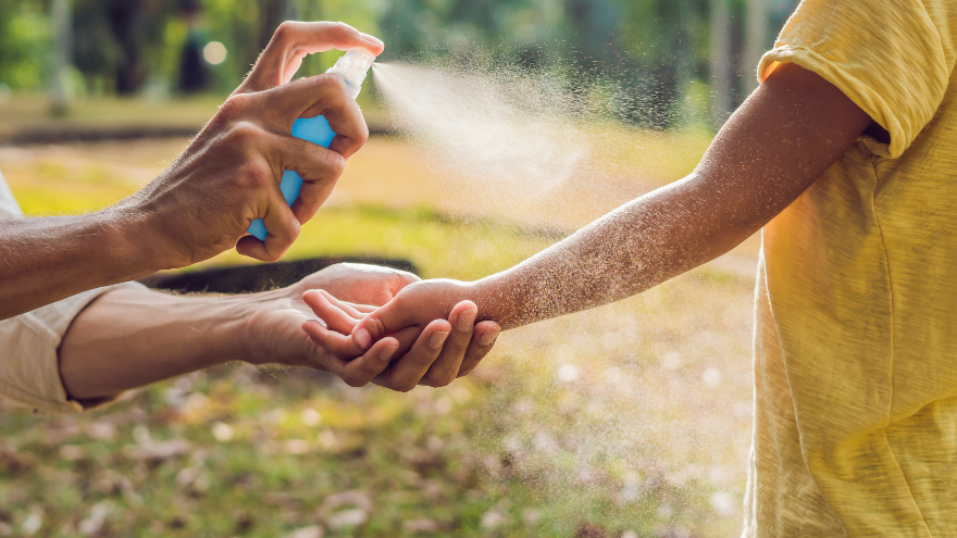 Szúnyog elleni növények és olajok