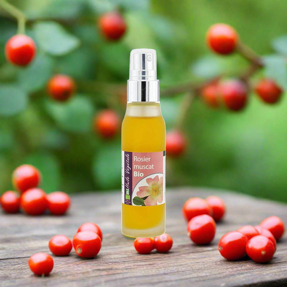 Csipkebogyómag-olaj bio - 50ml