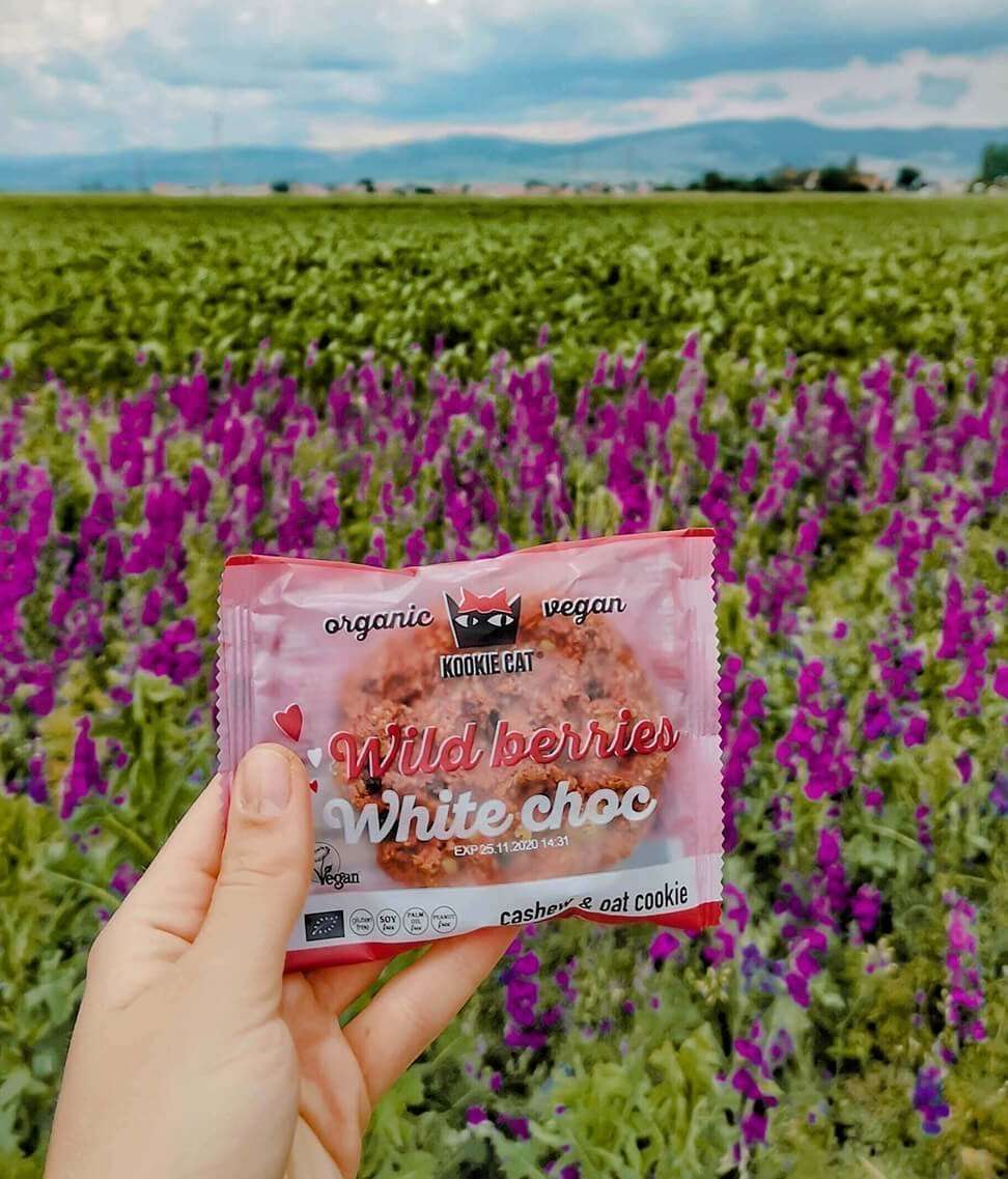 bettrerdei-gyumolcsos-zabkeksz-bio-50g