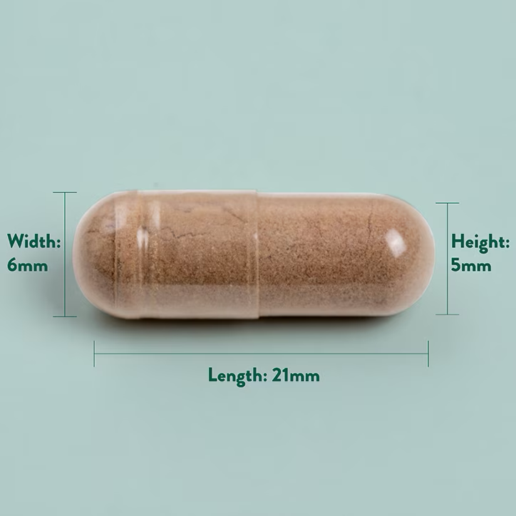 Szőlőmag kivonat 100mg 50db