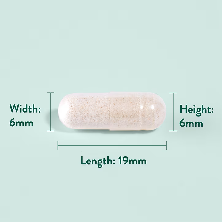 Gyömbér kivonat 1100mg - 120db