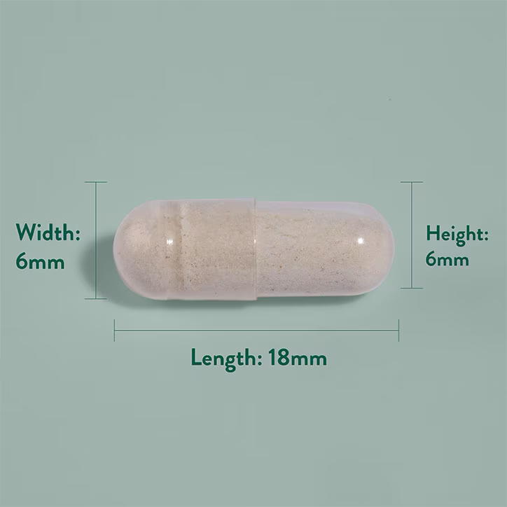 Ginseng komplex - 120db