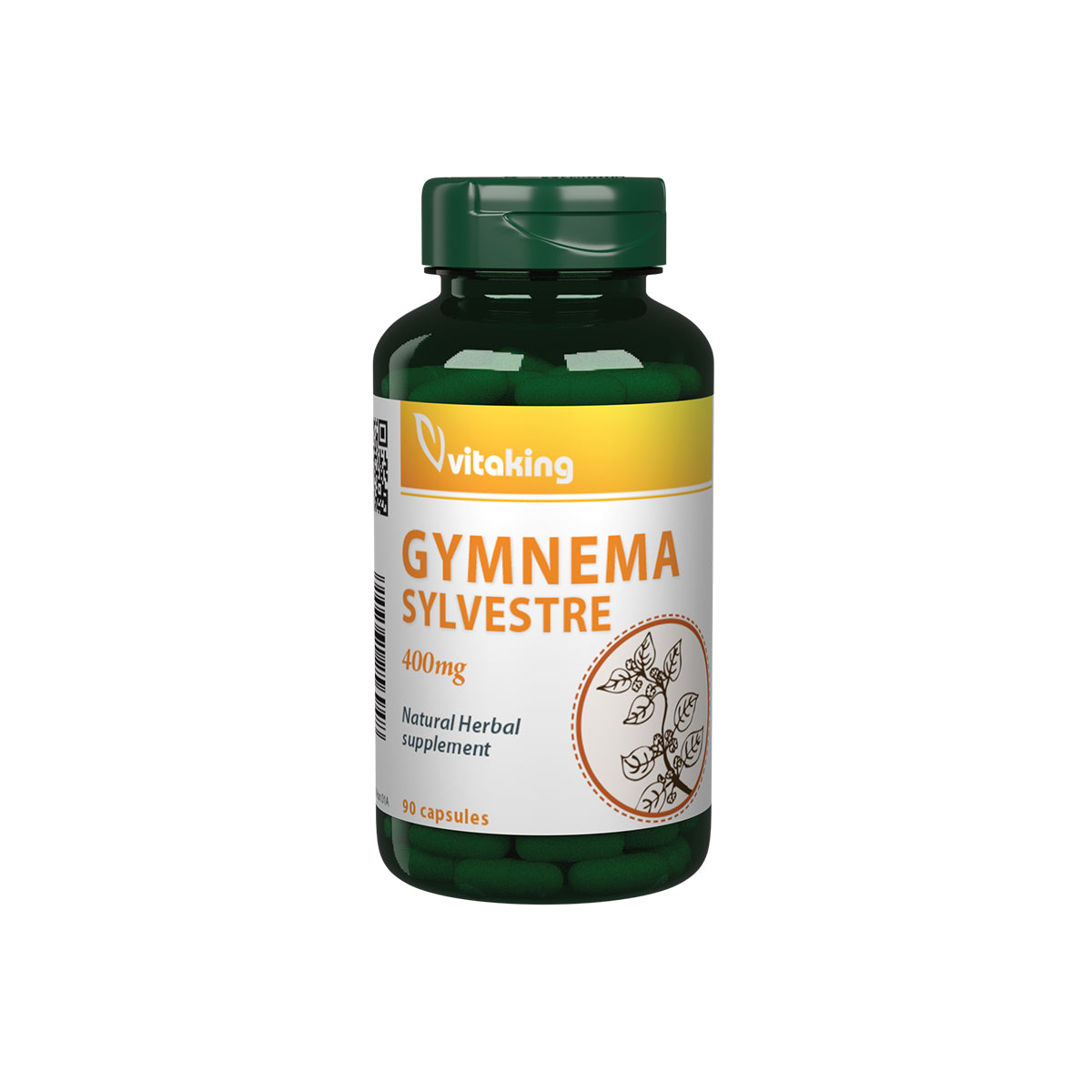 Gymnema-Sylvestre-90db