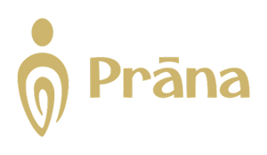 Partner logó